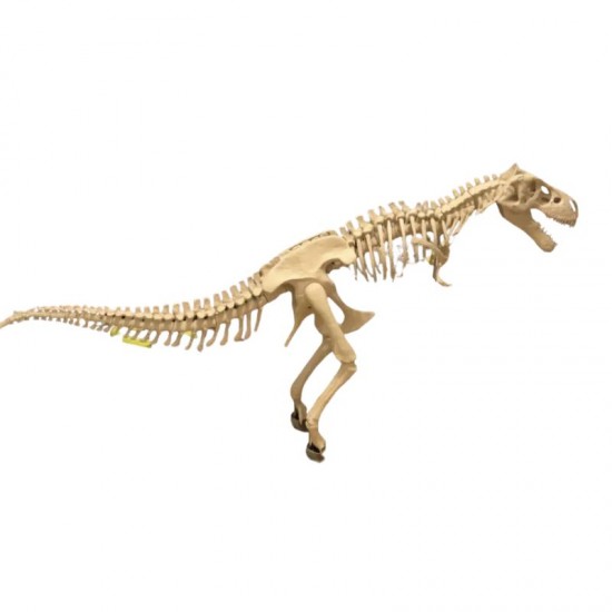 Macheta Tyrannosaurus Rex kit asamblabil – Hachette