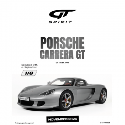 PRECOMANDA : Macheta auto Porsche Carrera GT, Silver, 2003, GTS803101, 1:8, GT Spirit